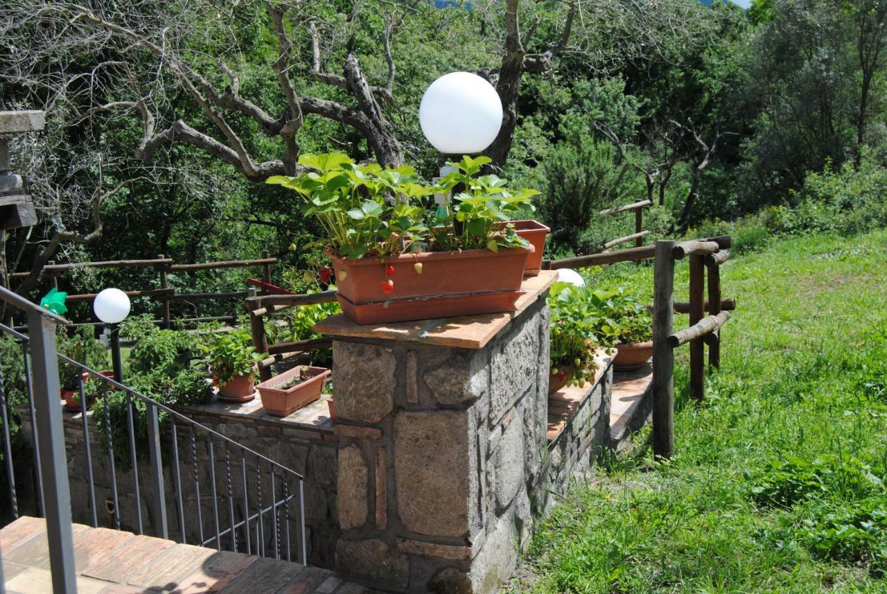 Villa Farfalla Bianca ヴィトルキアーノ エクステリア 写真