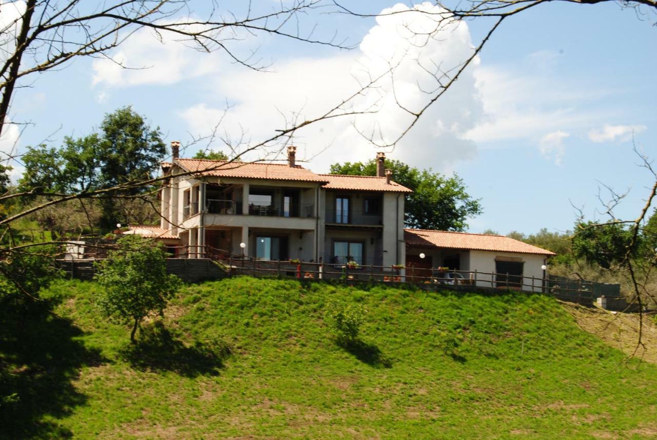 Villa Farfalla Bianca ヴィトルキアーノ エクステリア 写真