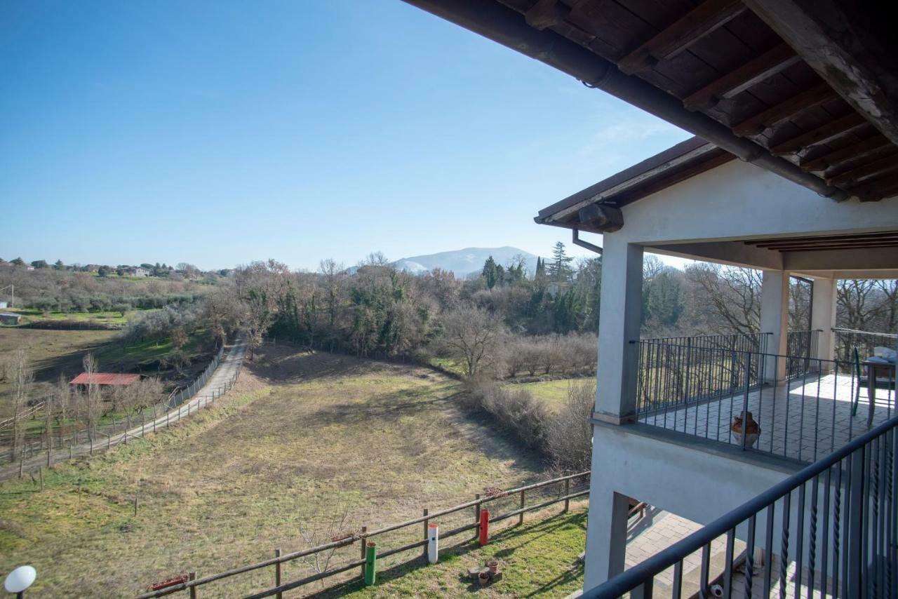 Villa Farfalla Bianca ヴィトルキアーノ エクステリア 写真